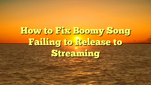 How to Fix Boomy Song Failing to Release to Streaming